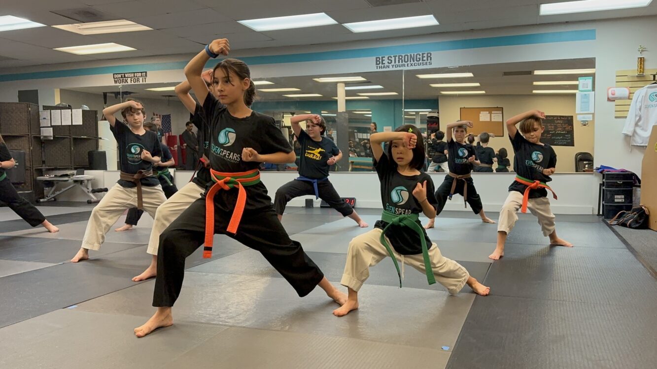 Seven Spears Martial Arts Academy Programs image